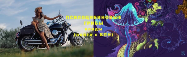 дмт Белокуриха