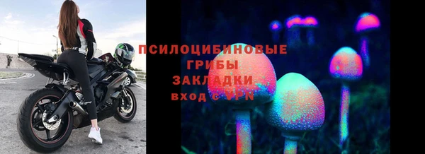 дмт Белокуриха