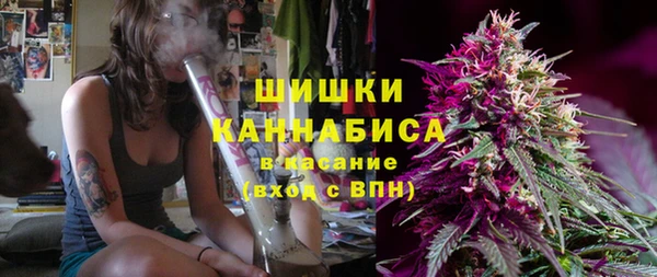 дмт Белокуриха
