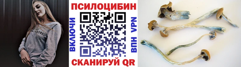 купить наркотики сайты  Отрадное  Псилоцибиновые грибы Magic Shrooms 